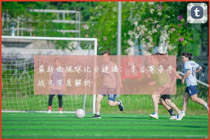 最新曲棍球比分速递：季后赛争夺战况深度解析