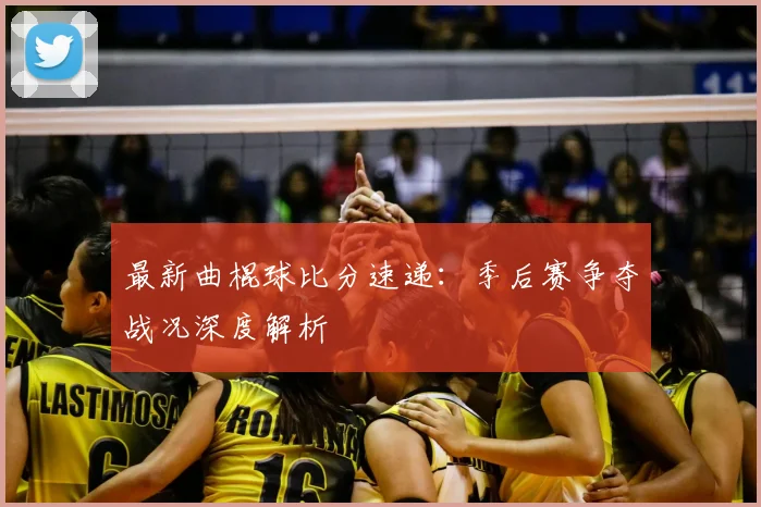 最新曲棍球比分速递：季后赛争夺战况深度解析