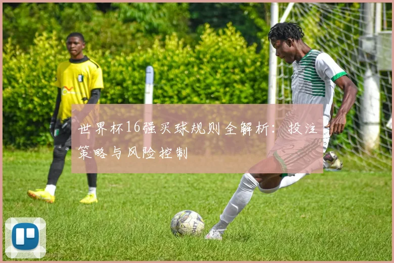 世界杯16强买球规则全解析：投注策略与风险控制