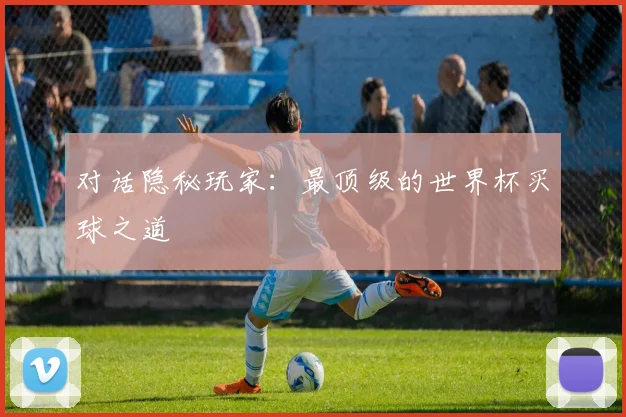 对话隐秘玩家：最顶级的世界杯买球之道