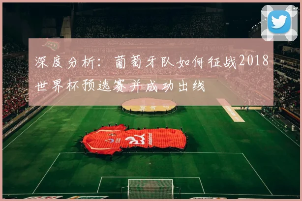 深度分析：葡萄牙队如何征战2018世界杯预选赛并成功出线
