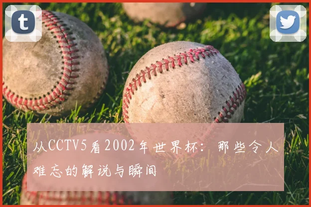 从CCTV5看2002年世界杯：那些令人难忘的解说与瞬间