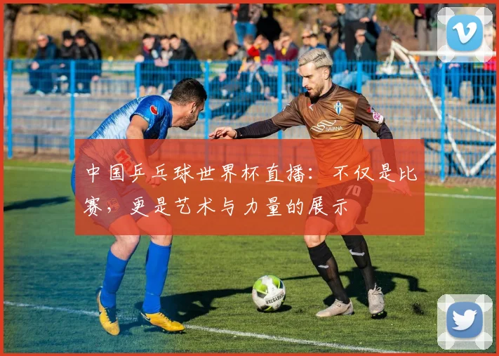 中国乒乓球世界杯直播：不仅是比赛，更是艺术与力量的展示