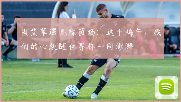 当艾草遇见绿茵场：这个端午，我们的心跳随世界杯一同澎湃