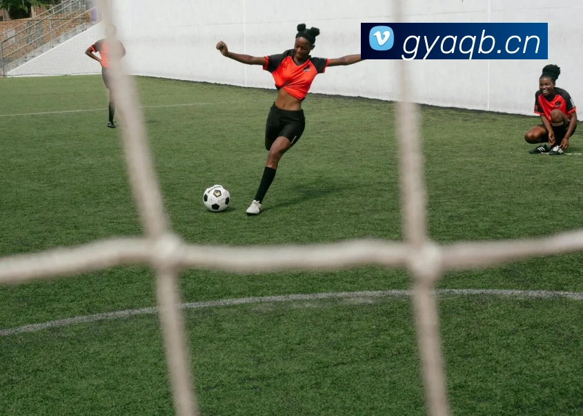 九游j9官网首页登录APP 封面图